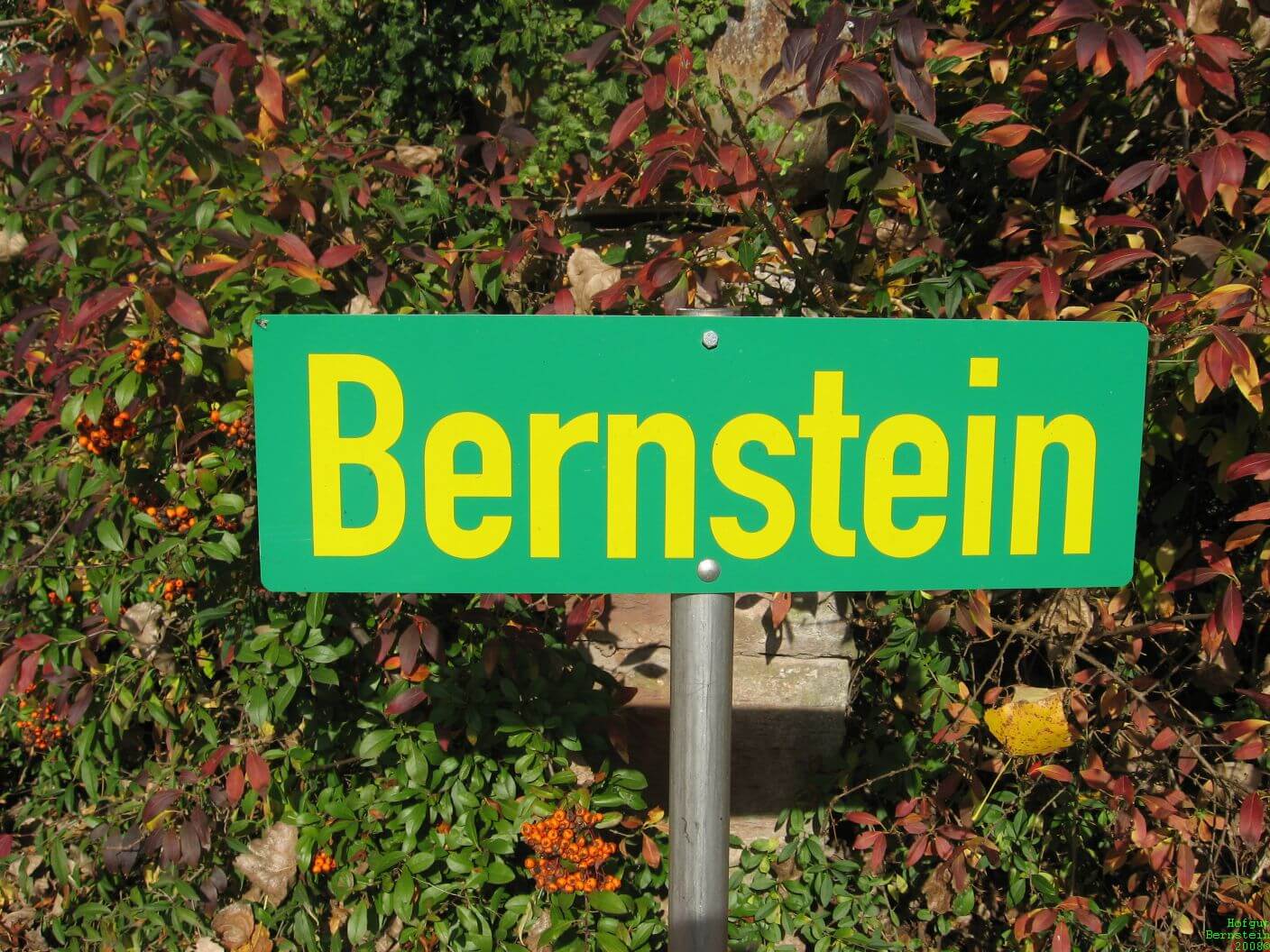Bernstein Impression 1